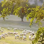 Piccolo Gesto D'affetto Panzió *