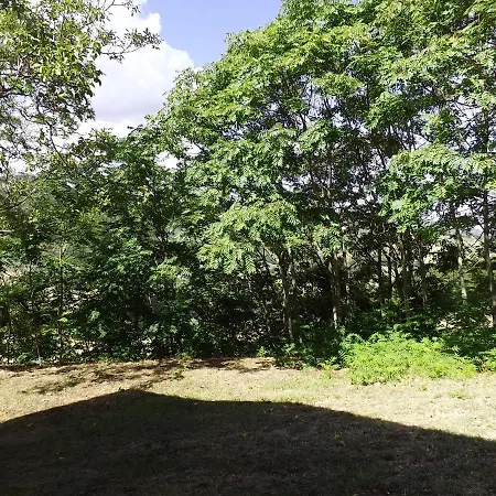 Piccolo Gesto D'affetto Ripe