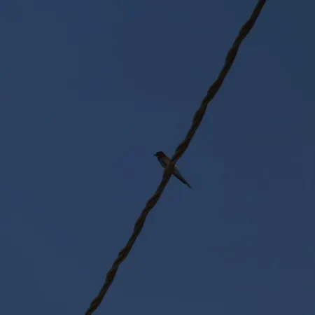 Piccolo Gesto D'affetto Panzió *