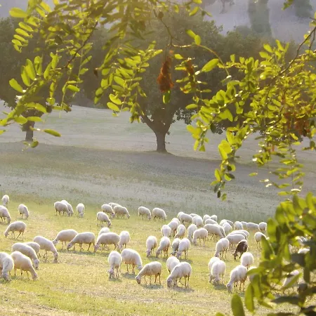 Piccolo Gesto D'affetto Bed & Breakfast 3*