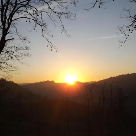 Piccolo Gesto D'affetto