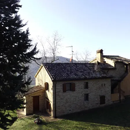 Piccolo Gesto D'affetto * Ripe