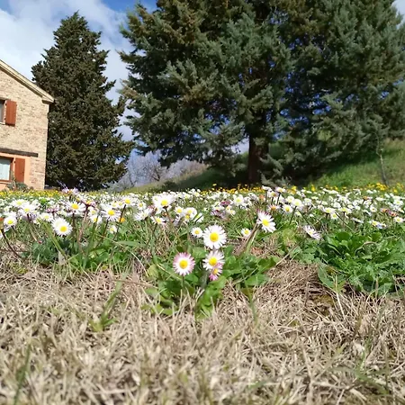 Panzió Piccolo Gesto D'affetto *
