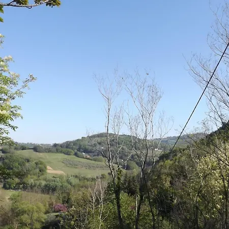 Piccolo Gesto D'affetto *