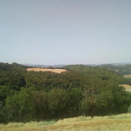 Piccolo Gesto D'affetto