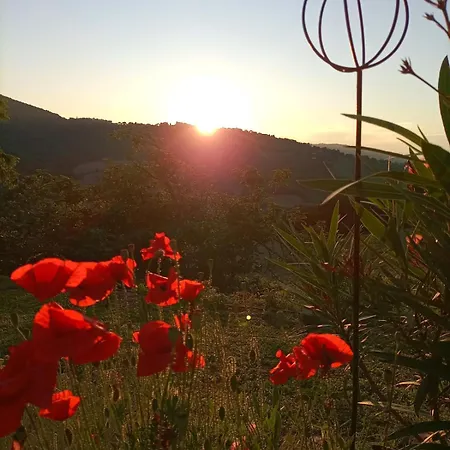 Piccolo Gesto D'affetto Ripe