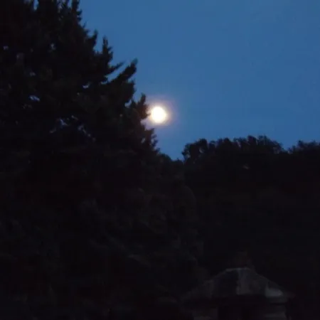 Piccolo Gesto D'affetto Ripe