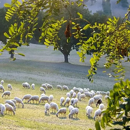 Piccolo Gesto D'affetto Bed & Breakfast Ripe