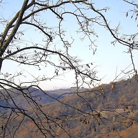 Piccolo Gesto D'affetto Bed & Breakfast