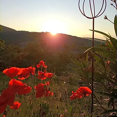 Bed & Breakfast Piccolo Gesto D'affetto 3*