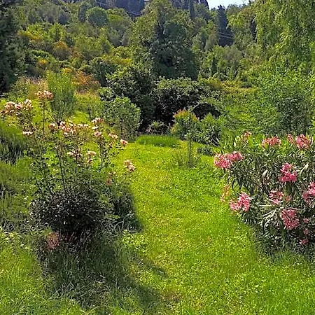 Piccolo Gesto D'affetto Bed & Breakfast